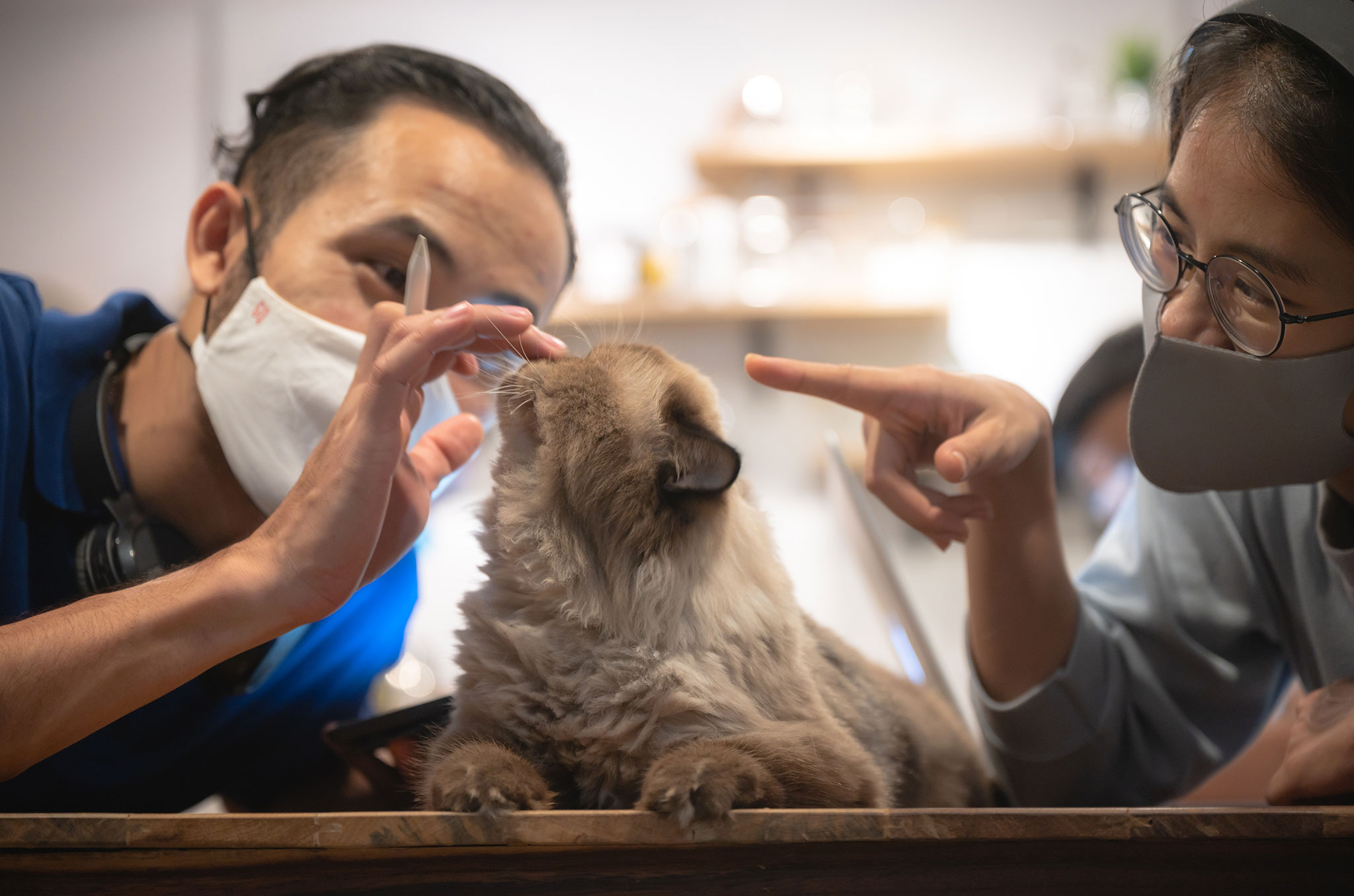 Read more about the article Hidden Health Risks Your Pet’s DNA Can Reveal — Before It’s Too Late